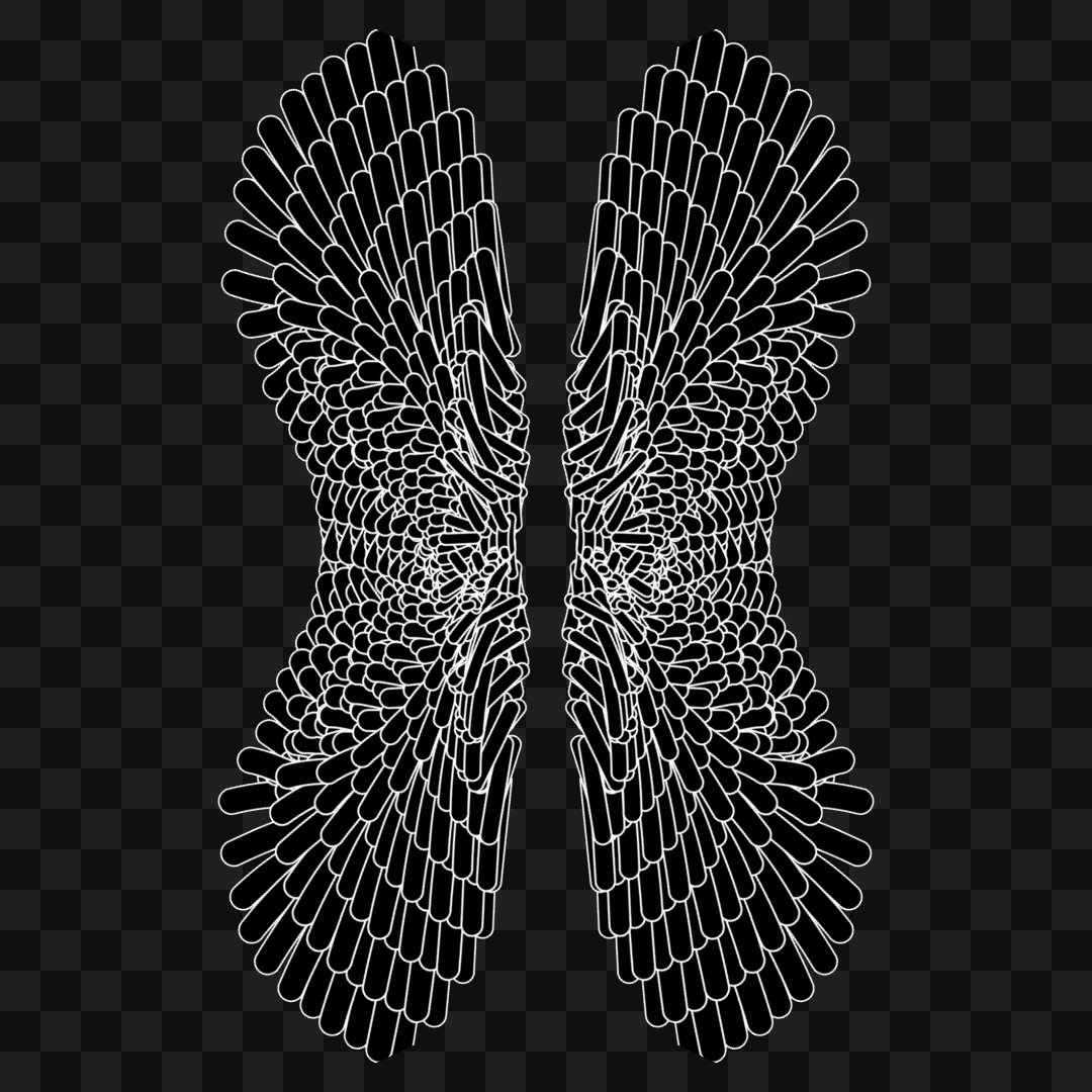 Kappa flap wingset asset pack / 12 loops