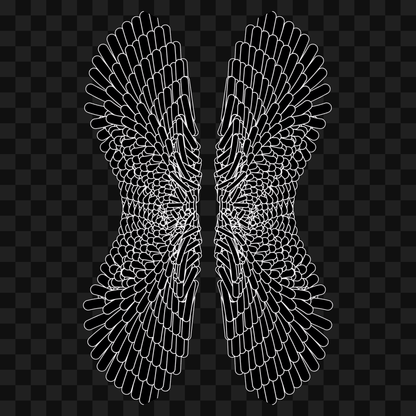 Kappa flap wingset asset pack / 12 loops