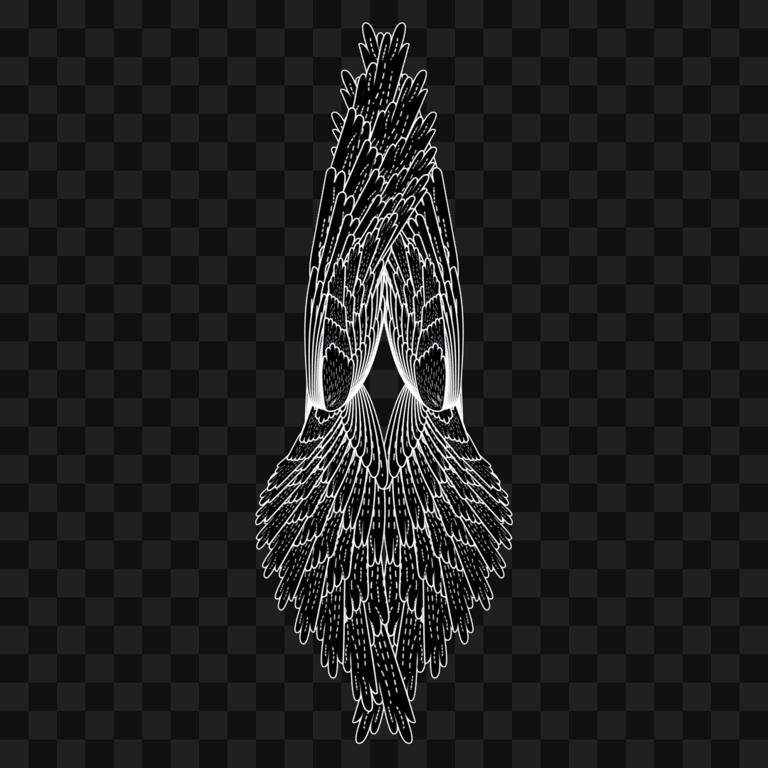 Kappa flap wingset asset pack / 12 loops