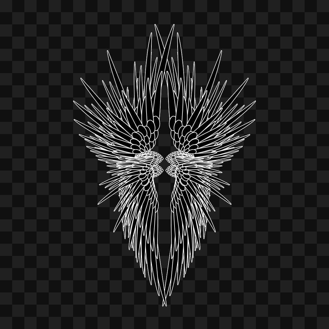Kappa flap wingset asset pack / 12 loops