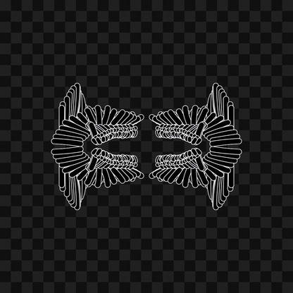 Kappa flap wingset asset pack / 12 loops