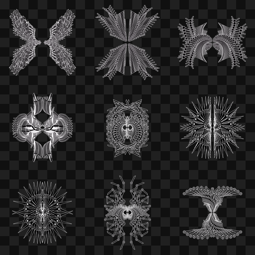 Sharp flap wingset asset pack / 10 loops