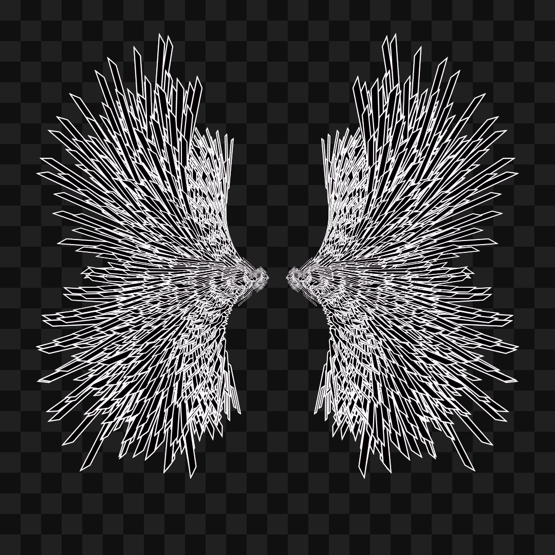 Sharp flap wingset asset pack / 10 loops