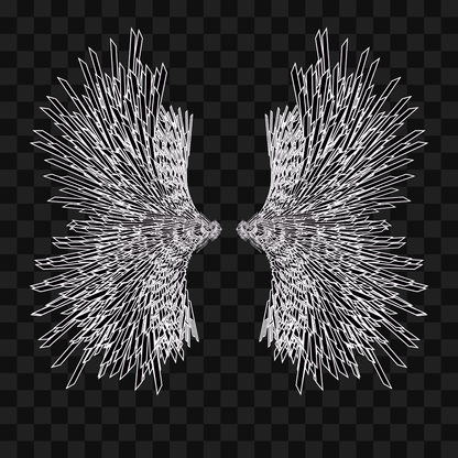 Sharp flap wingset asset pack / 10 loops