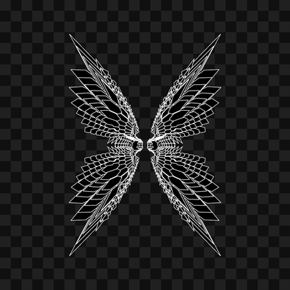 Theta flap wingset asset pack / 10 loops