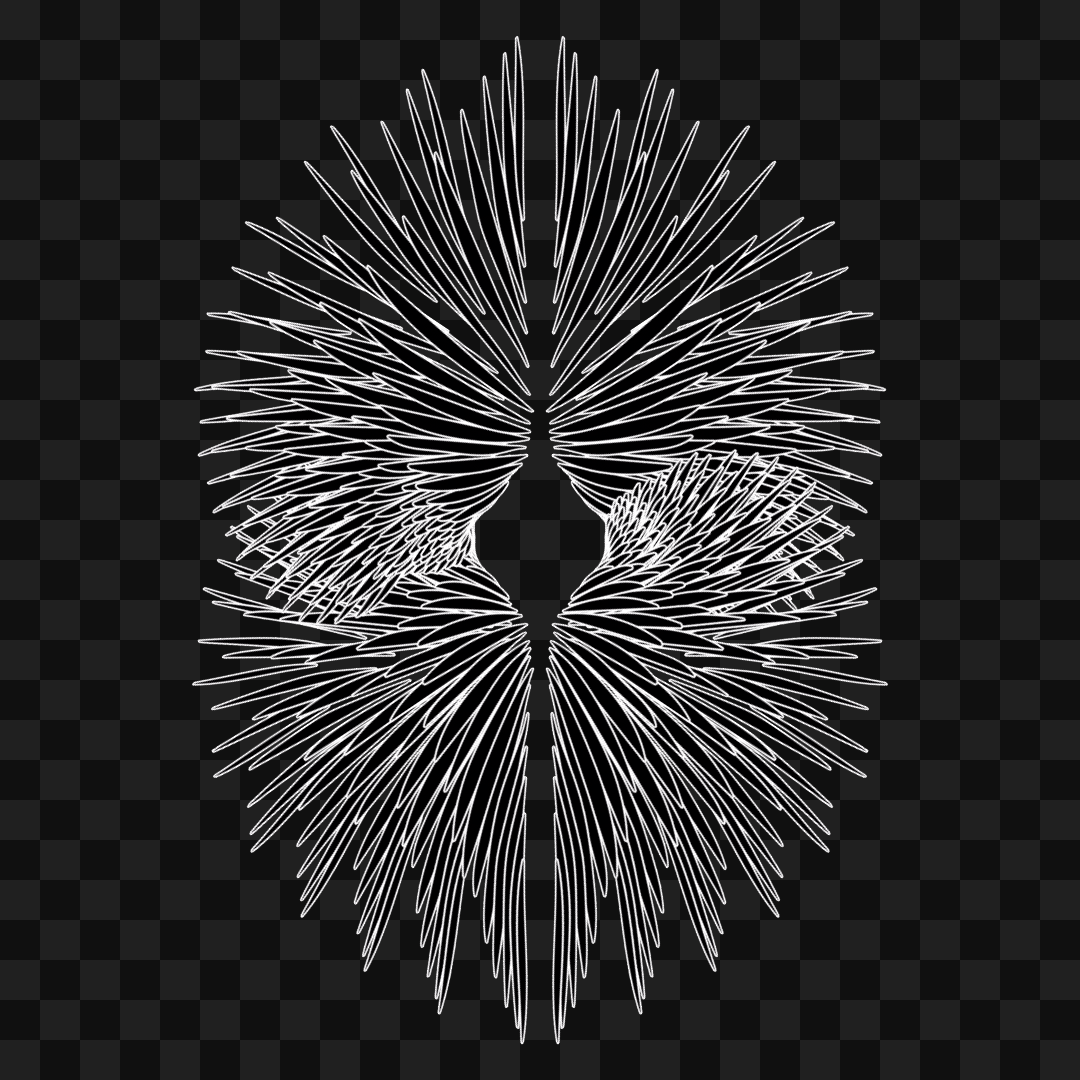 Zeta flap wingset asset pack / 11 loops