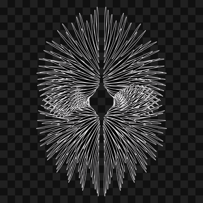 Zeta flap wingset asset pack / 11 loops