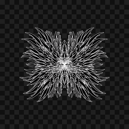 Zeta flap wingset asset pack / 11 loops