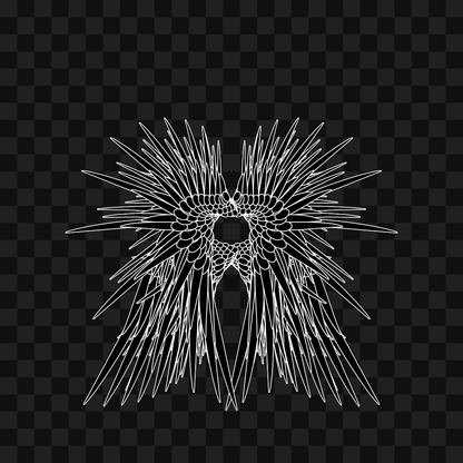 Zeta flap wingset asset pack / 11 loops