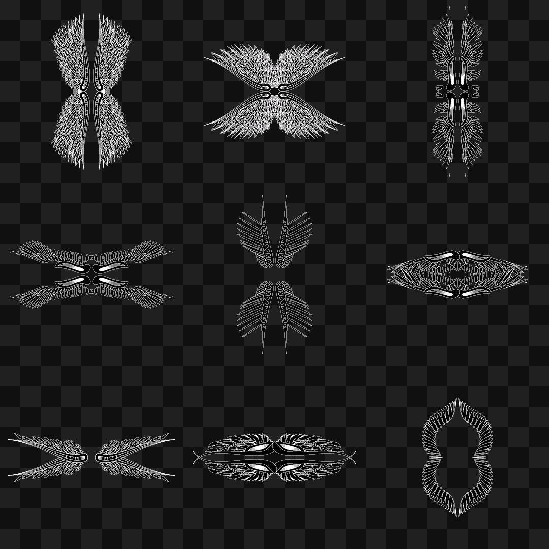 Delta frag quad wingset asset pack / 15 loops