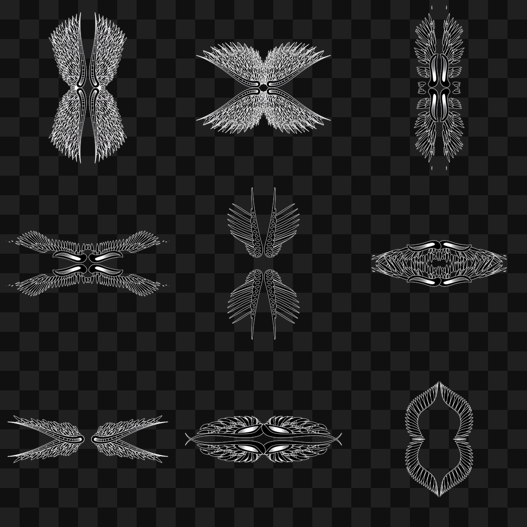 Delta frag quad wingset asset pack / 15 loops