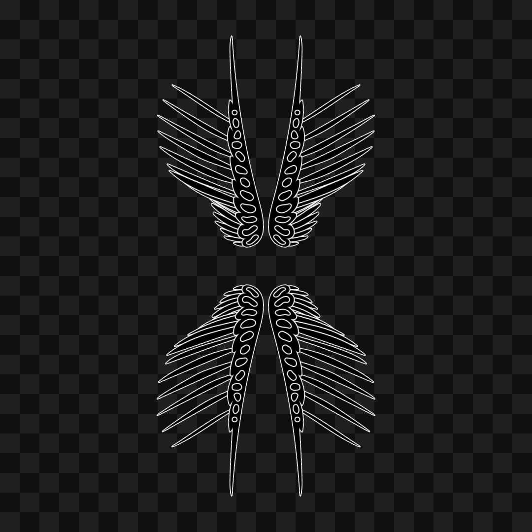 Delta frag quad wingset asset pack / 15 loops