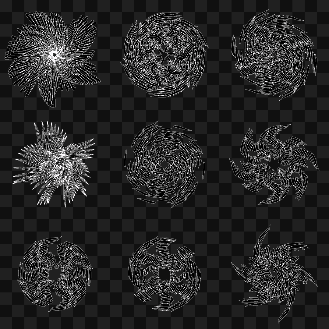 Feather star wingset asset pack / 10 loops