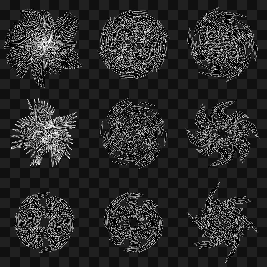 Feather star wingset asset pack / 10 loops