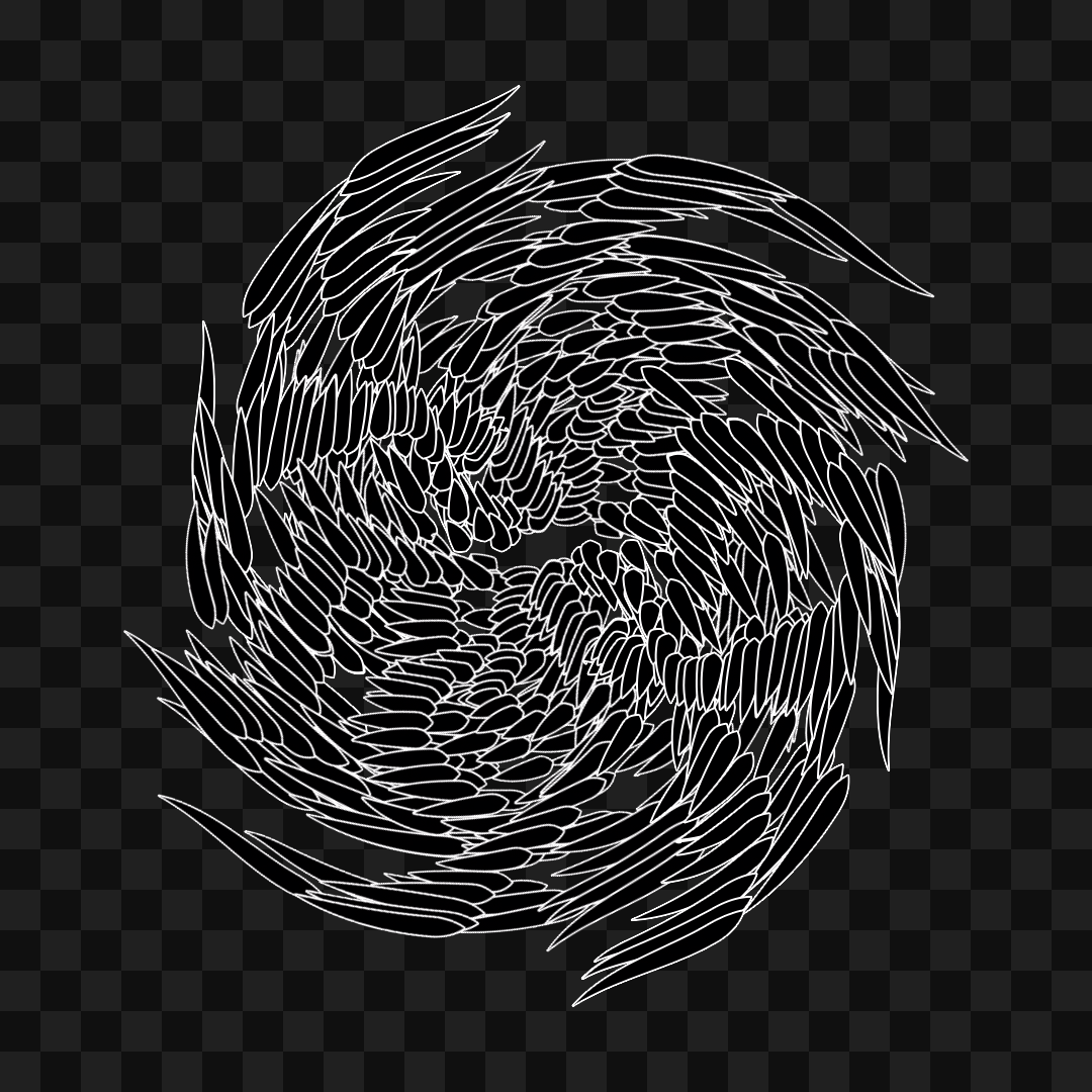 Feather star wingset asset pack / 10 loops