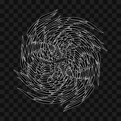 Feather star wingset asset pack / 10 loops