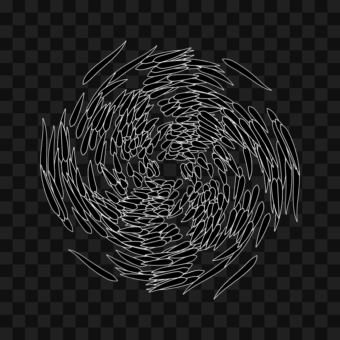 Feather star wingset asset pack / 10 loops