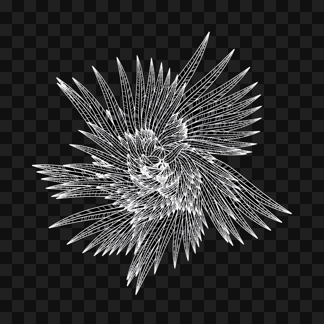 Feather star wingset asset pack / 10 loops