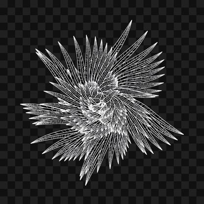 Feather star wingset asset pack / 10 loops