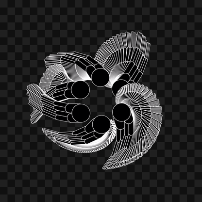Feather star wingset asset pack / 10 loops