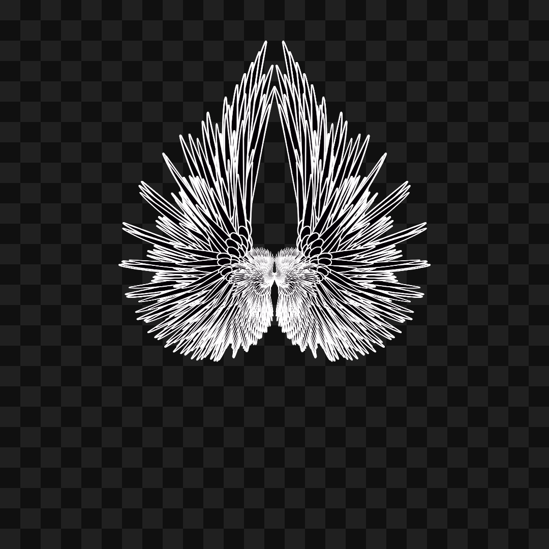Beta sym wingset asset pack / 10 loops