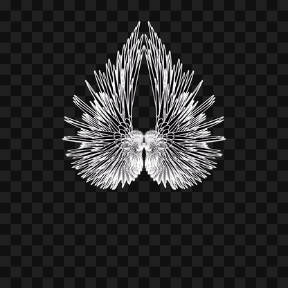 Beta sym wingset asset pack / 10 loops