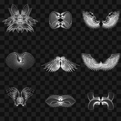 Beta sym wingset asset pack / 10 loops