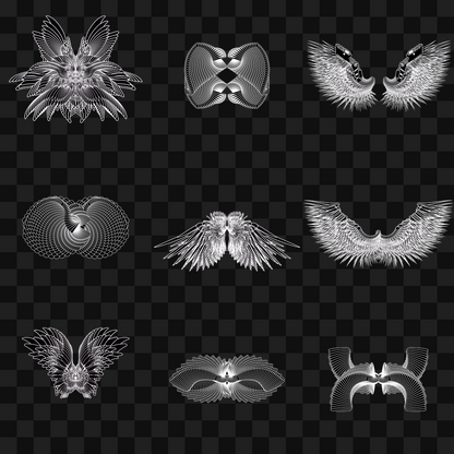 Beta sym wingset asset pack / 10 loops