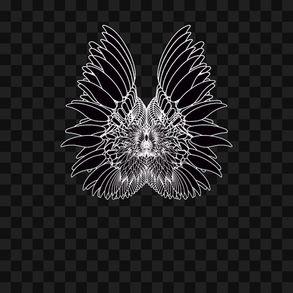 Beta sym wingset asset pack / 10 loops