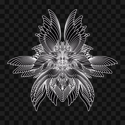 Beta sym wingset asset pack / 10 loops