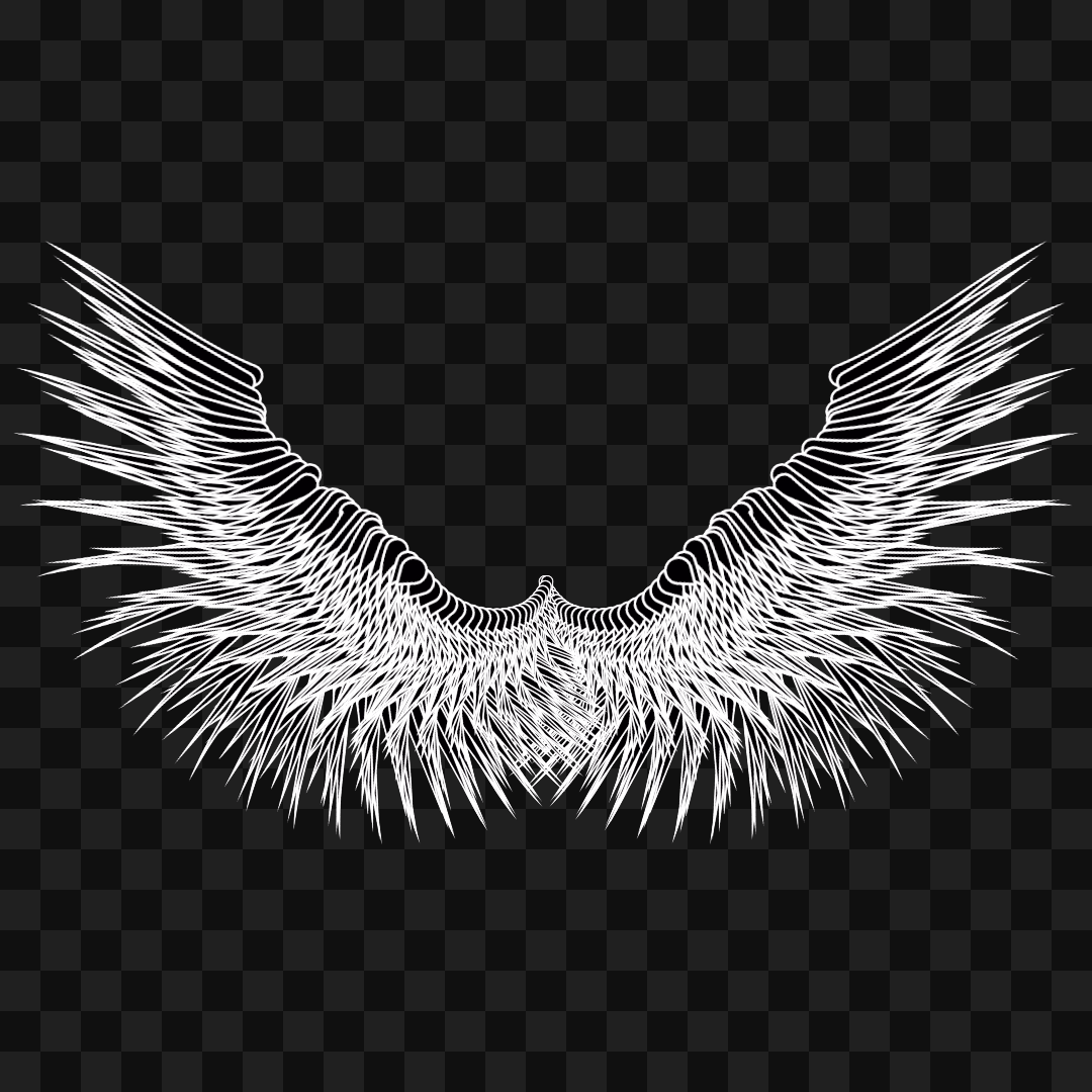 Beta sym wingset asset pack / 10 loops