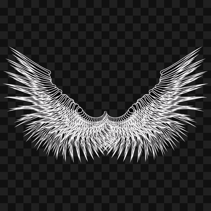 Beta sym wingset asset pack / 10 loops