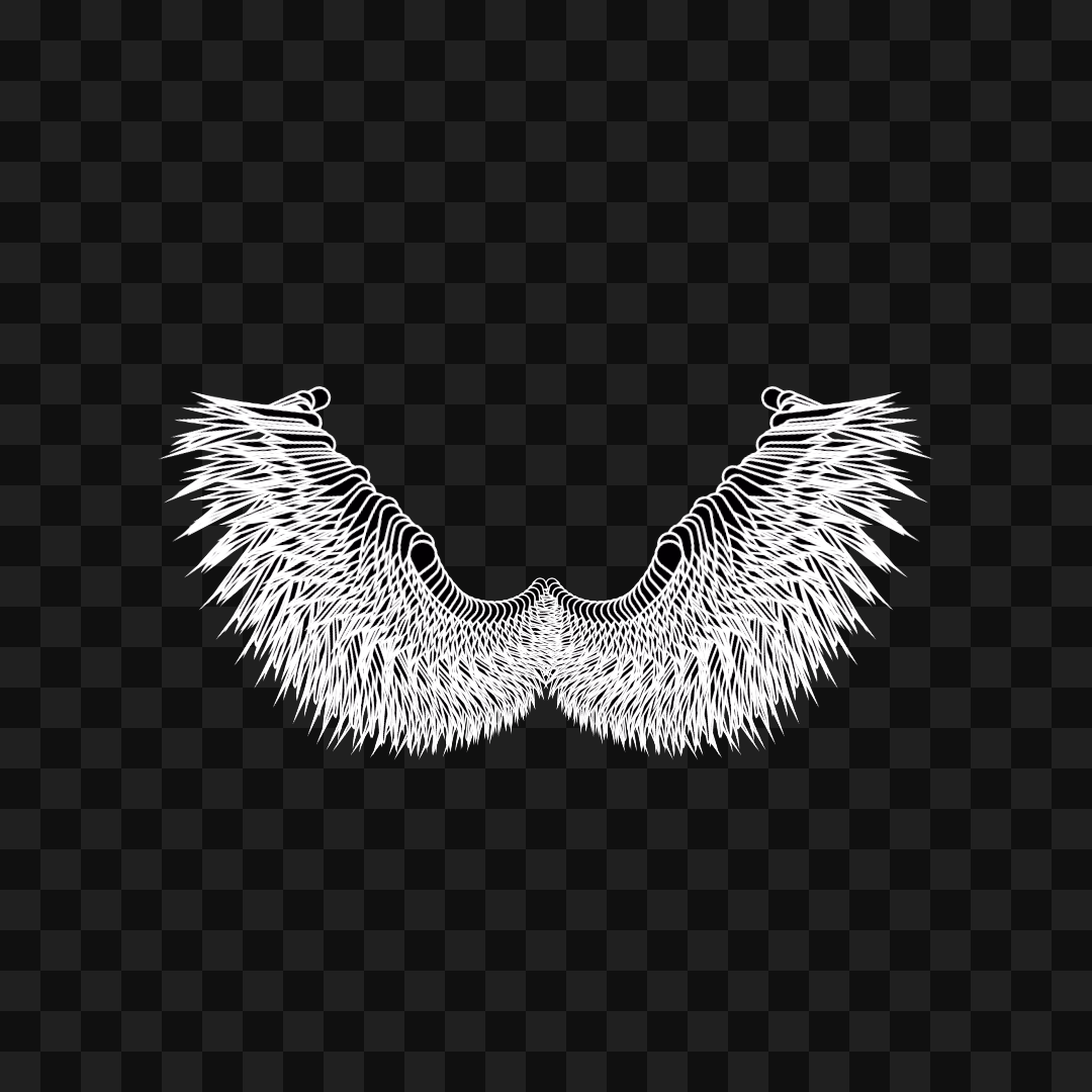 Beta sym wingset asset pack / 10 loops