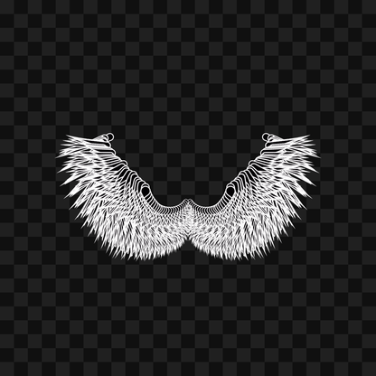 Beta sym wingset asset pack / 10 loops