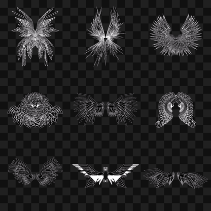 Epsilon sym wingset asset pack / 10 loops