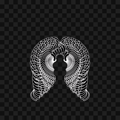 Epsilon sym wingset asset pack / 10 loops