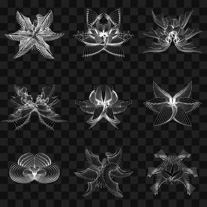 Eta sym wingset asset pack / 10 loops