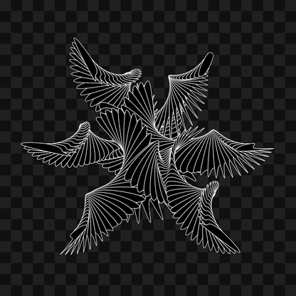 Eta sym wingset asset pack / 10 loops