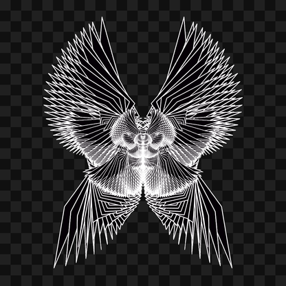 Gamma sym wingset asset pack / 11 loops