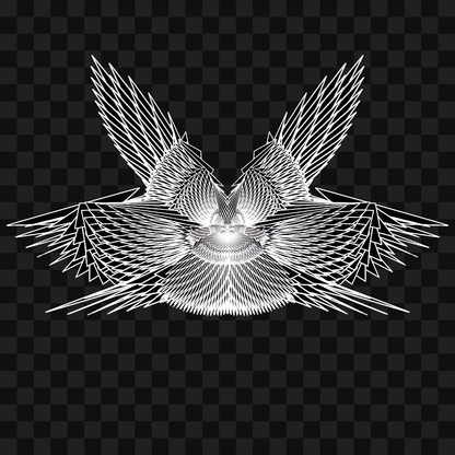 Gamma sym wingset asset pack / 11 loops