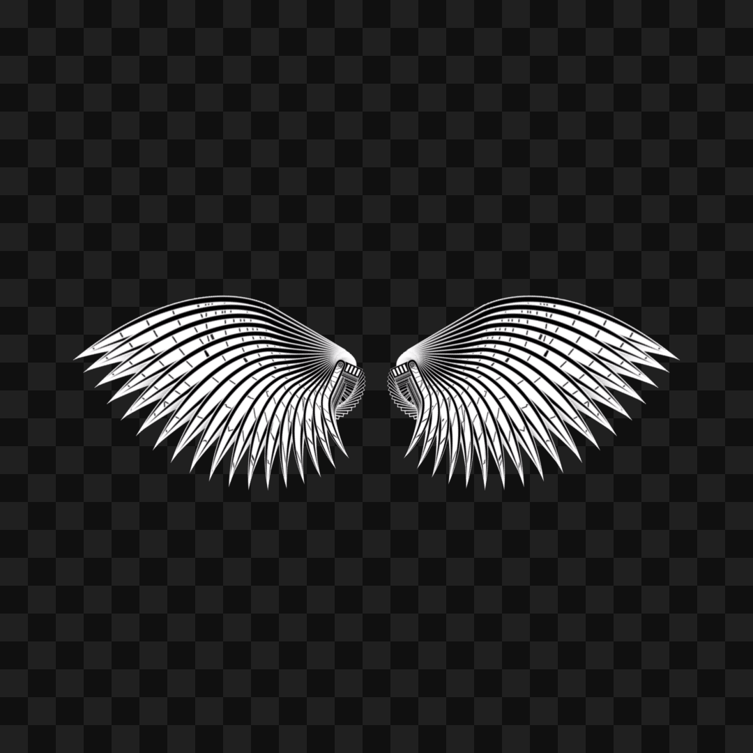 Theta sym wingset asset pack / 11 loops