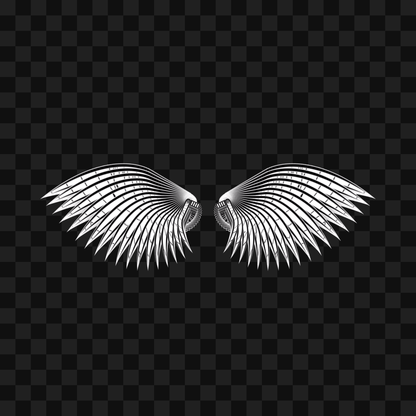 Theta sym wingset asset pack / 11 loops