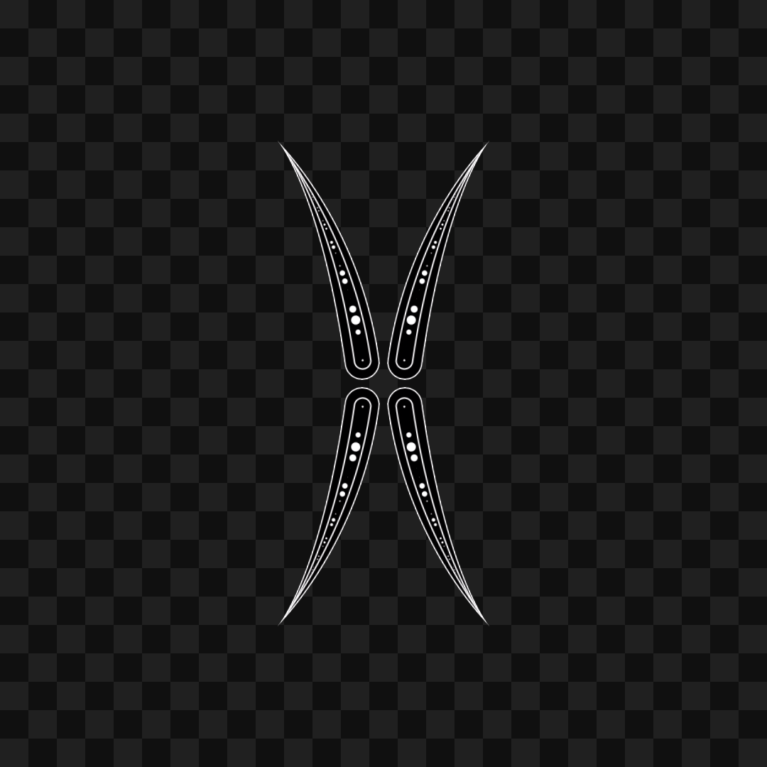 Thin sym wingset asset pack / 19 loops