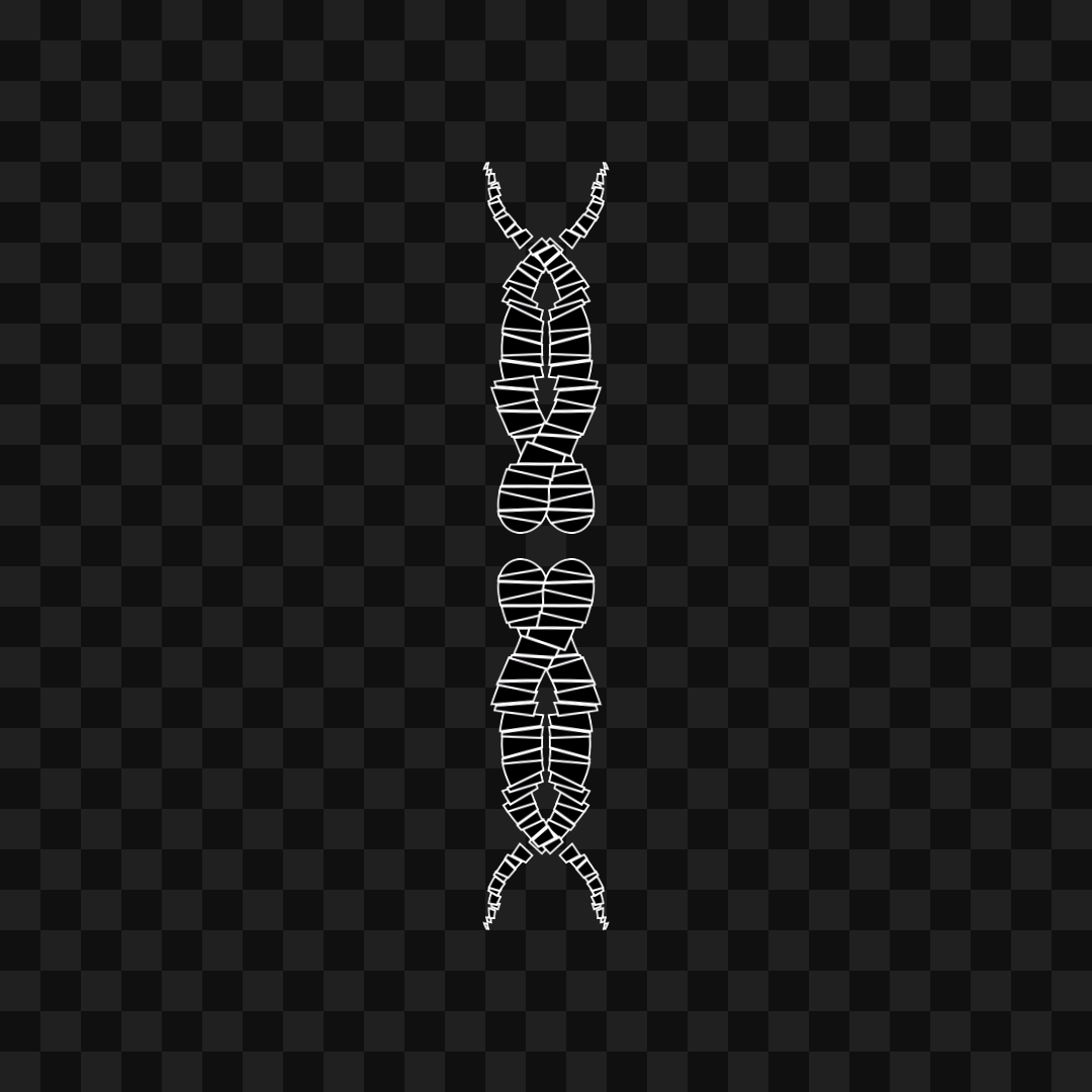 Thin sym wingset asset pack / 19 loops