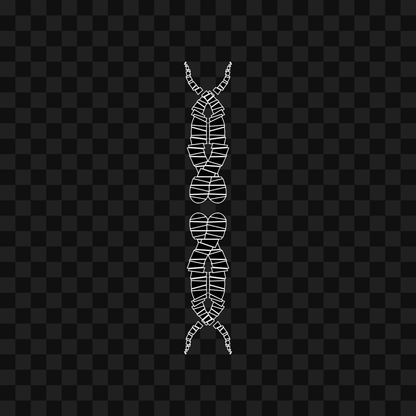 Thin sym wingset asset pack / 19 loops
