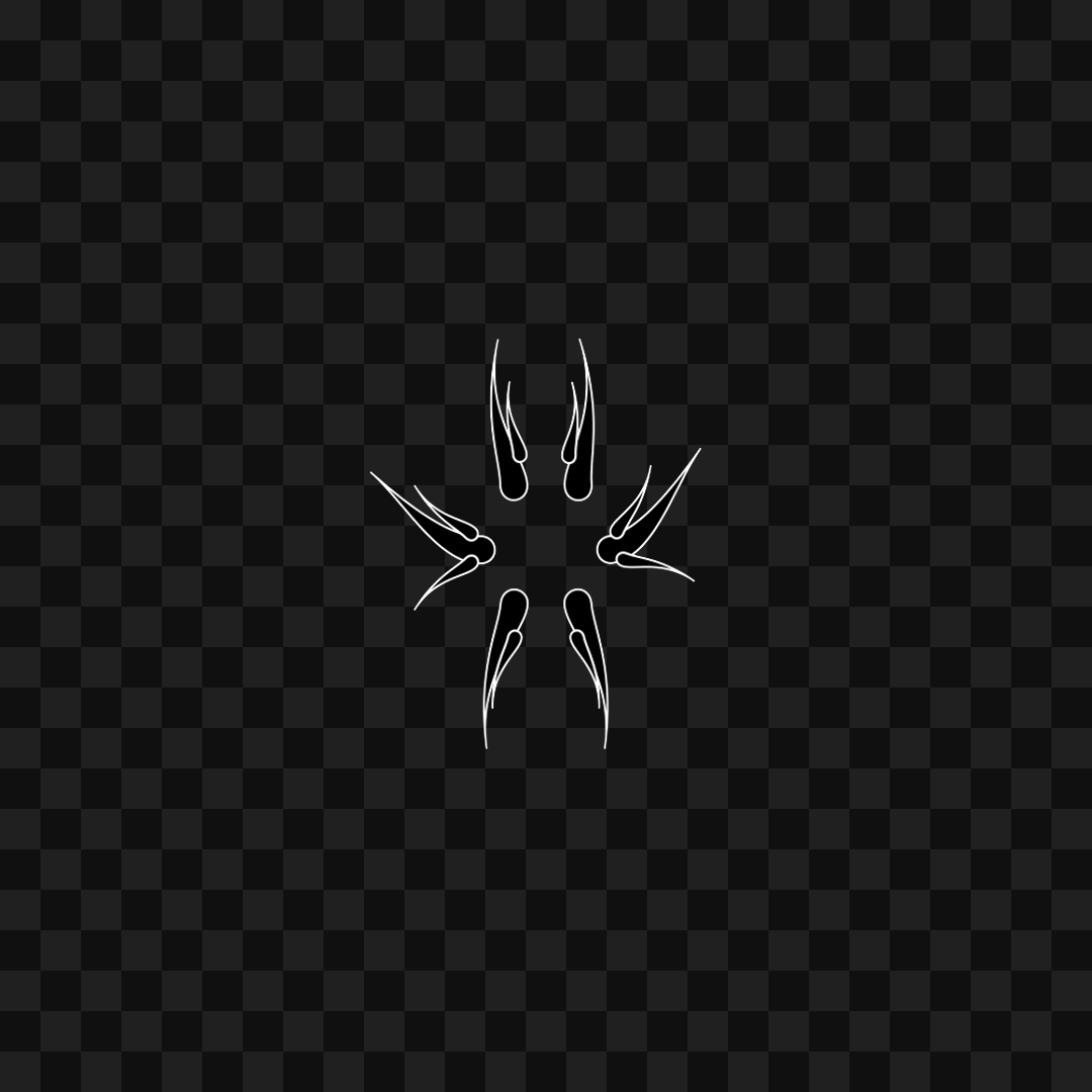 Thin sym wingset asset pack / 19 loops