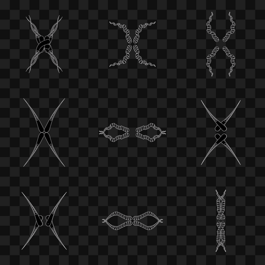 Thin sym wingset asset pack / 19 loops