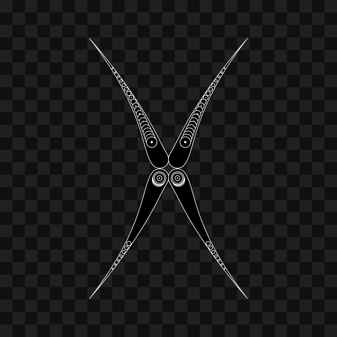 Thin sym wingset asset pack / 19 loops