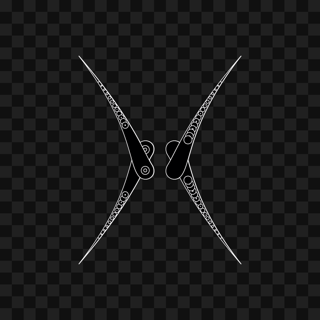 Thin sym wingset asset pack / 19 loops