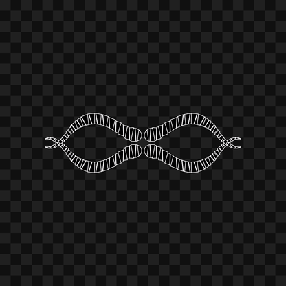 Thin sym wingset asset pack / 19 loops